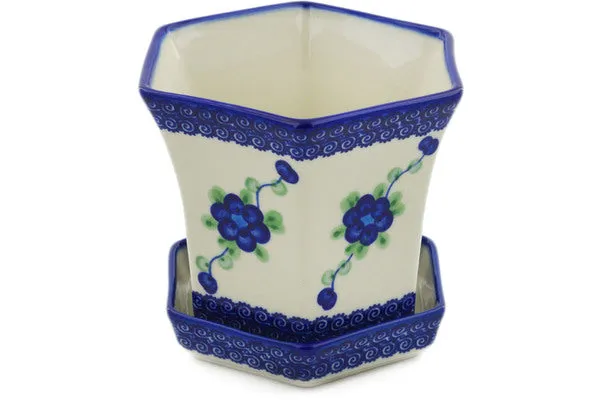 5" Planter - Blue Poppies