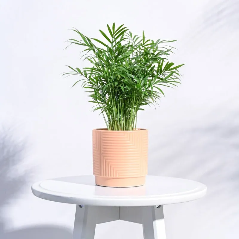 Argyle Maze Ceramic Pot | 4x4 Inch