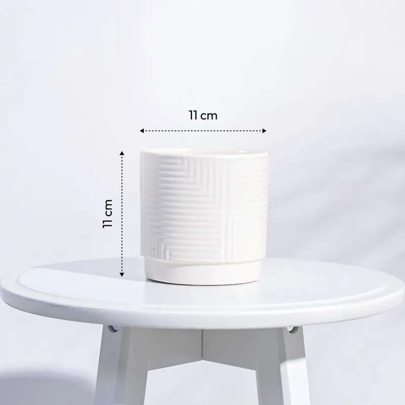 Argyle Maze Ceramic Pot | 4x4 Inch
