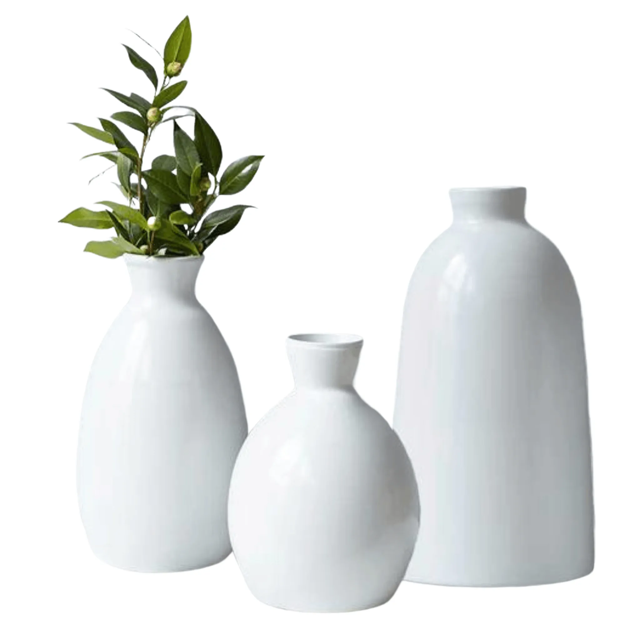 Artisanal Vase