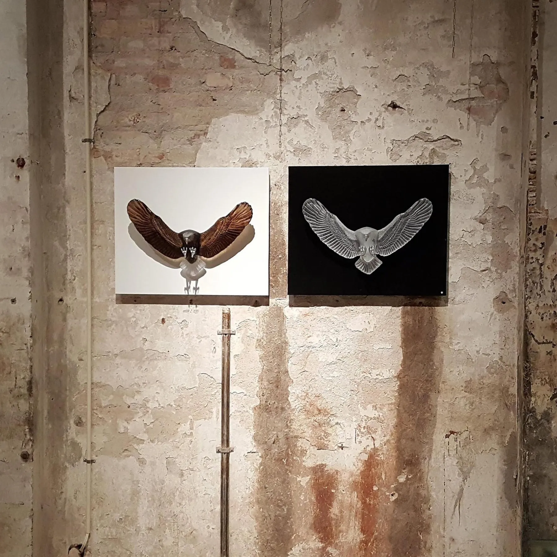 Bald Eagle Crystal Wall Sculpture