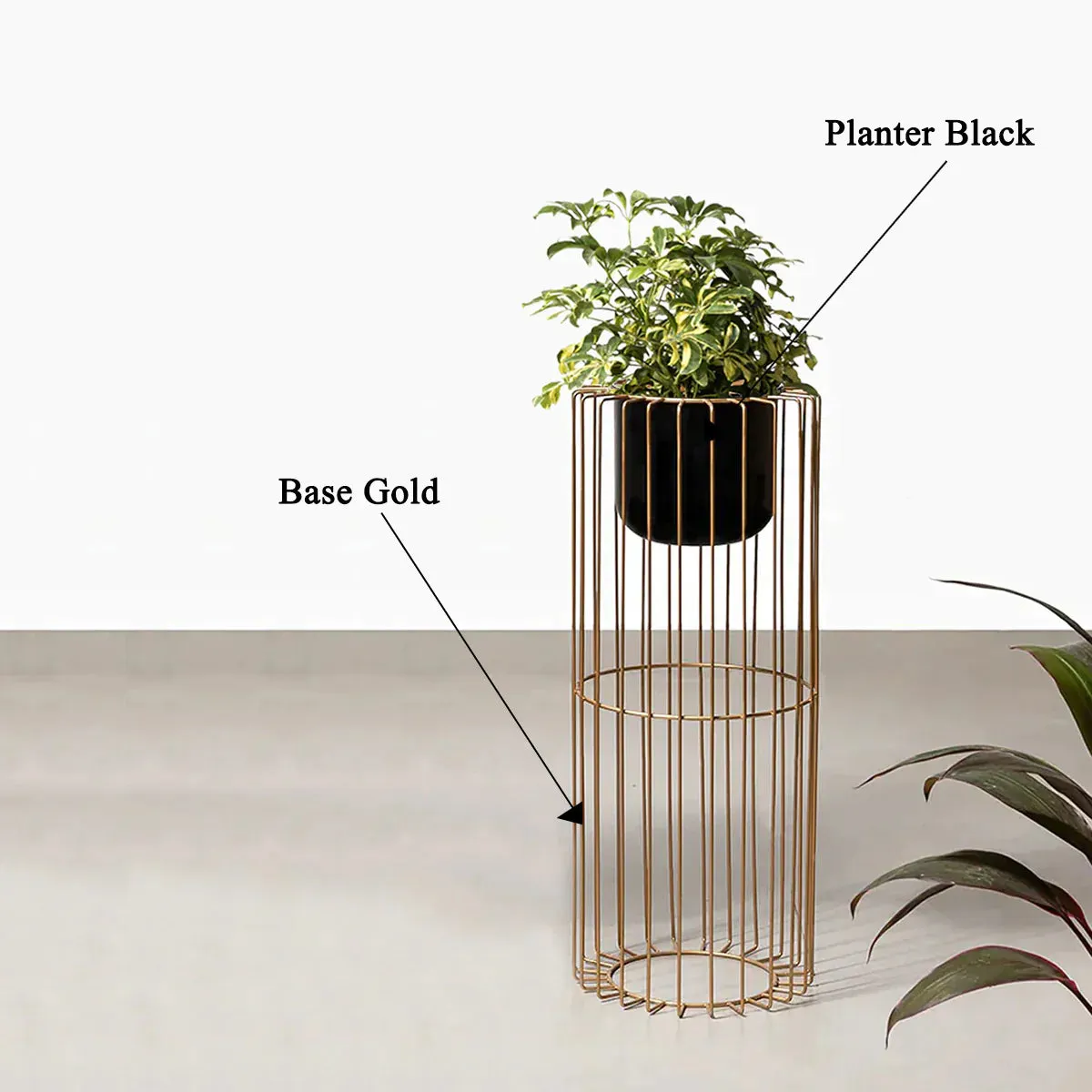 Botanic Couture Planters - Small - Black