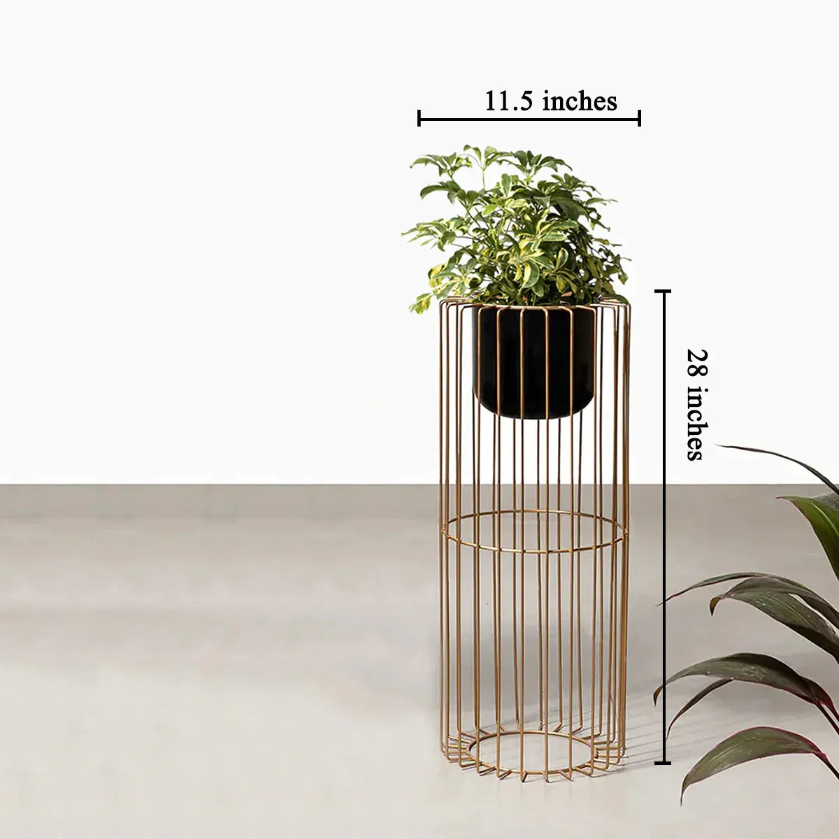 Botanic Couture Planters - Small - Black