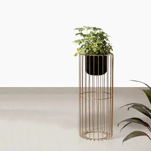 Botanic Couture Planters - Small - Black