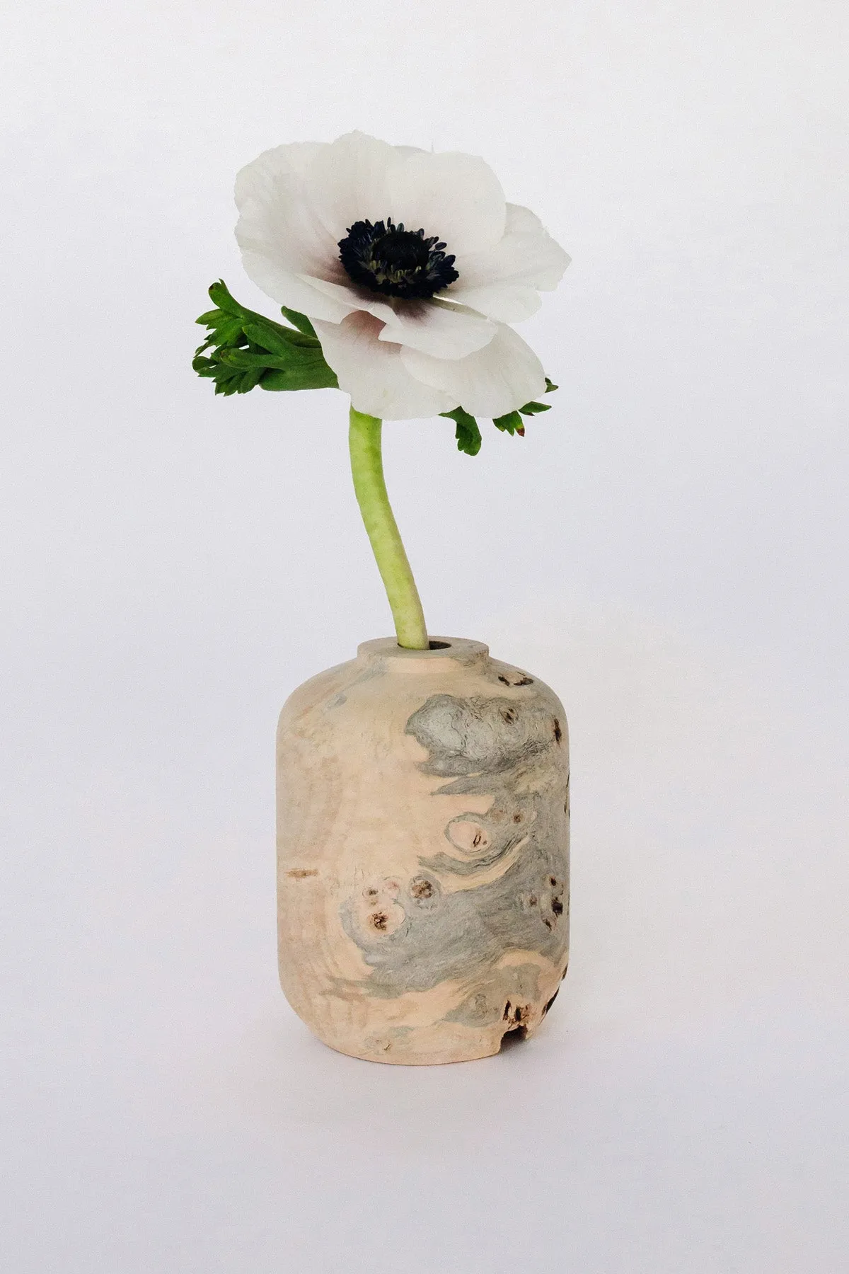 Buckeye Burl Vase