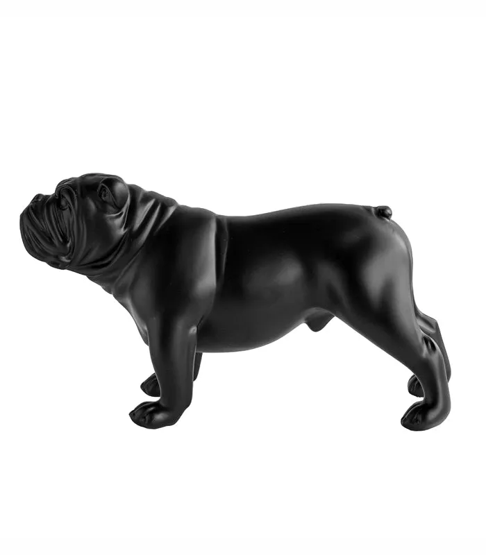 Bulldog Black
