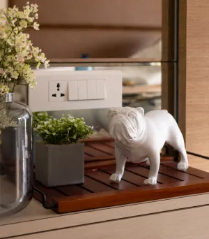 Bulldog - White