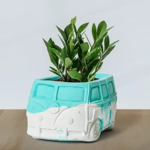 Bus planters/Organisers