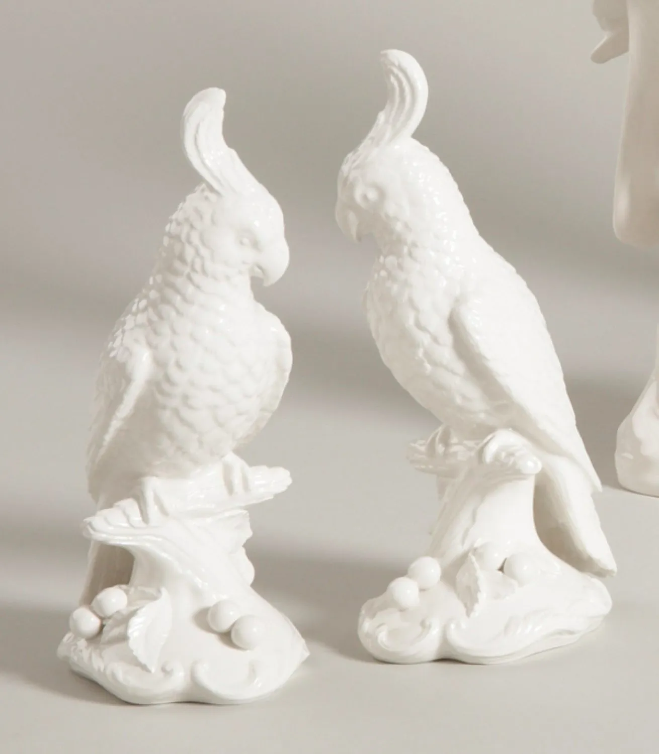 Cockatoos - White-Pr