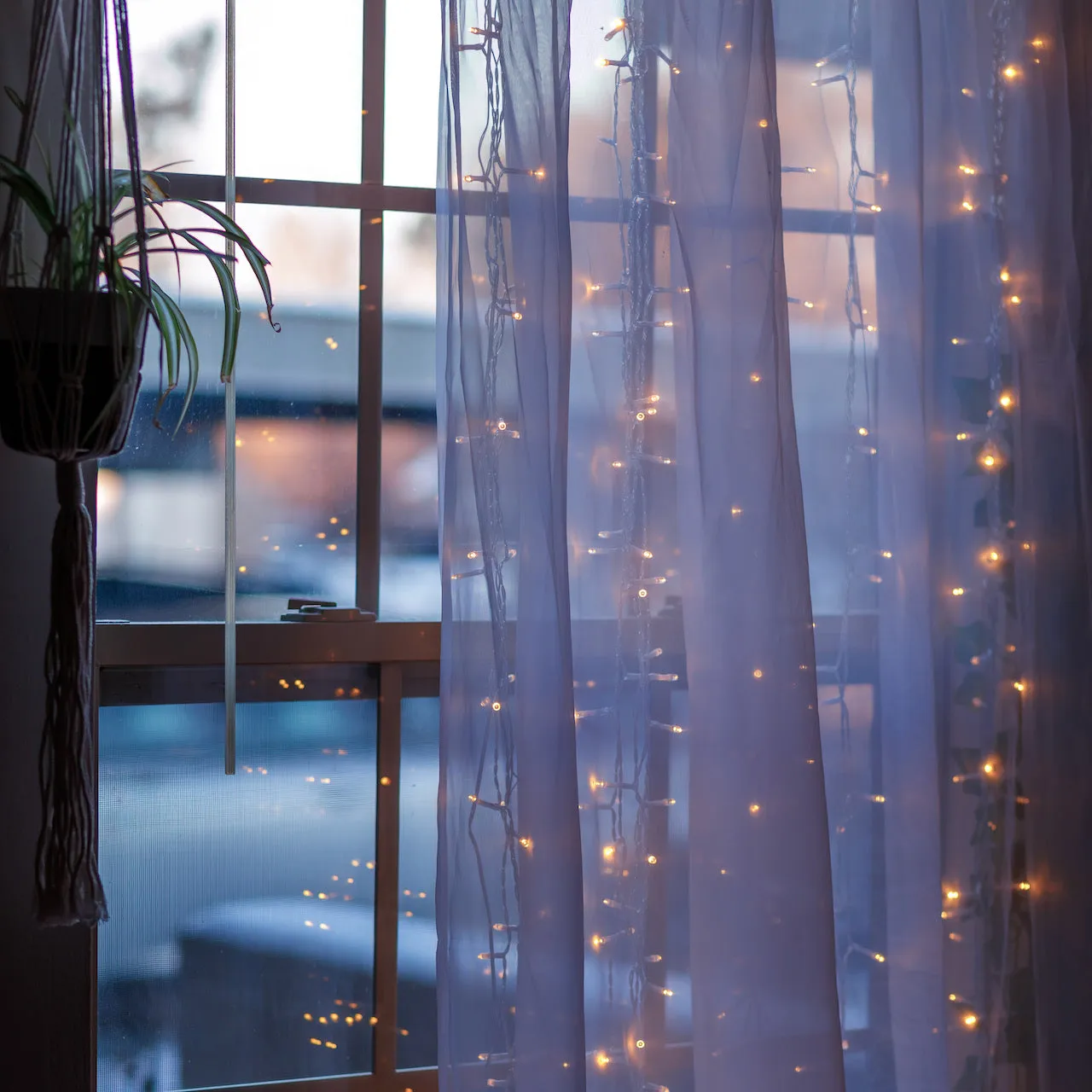 Dusk View