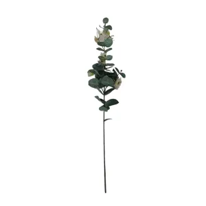Flowering Gum Spray - Cream/Green