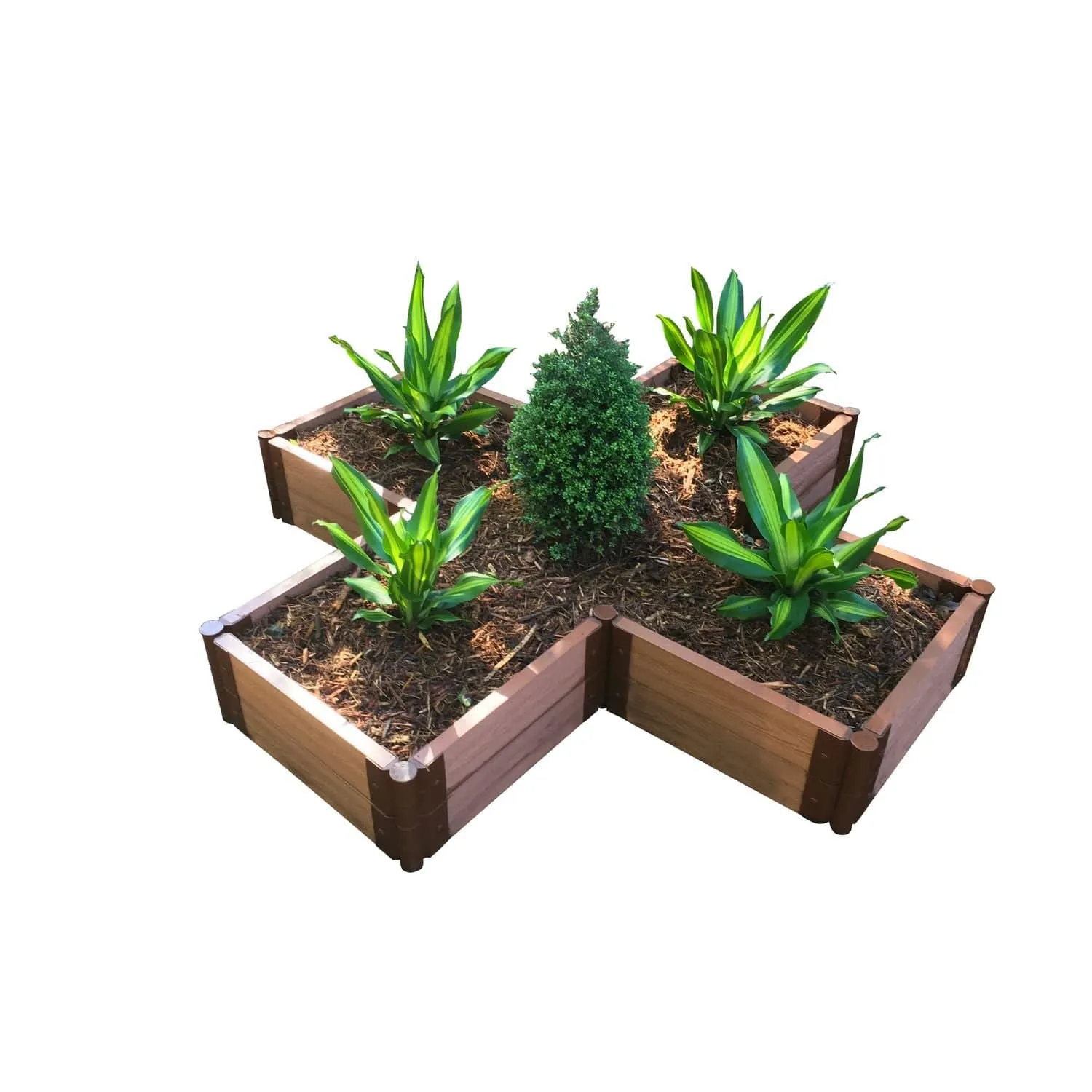 Frame It All | Tool-Free Military Medallion Raised Garden Bed (Kit Cross) 6' X 6' X 11" - Classic Sienna - 1" Profile