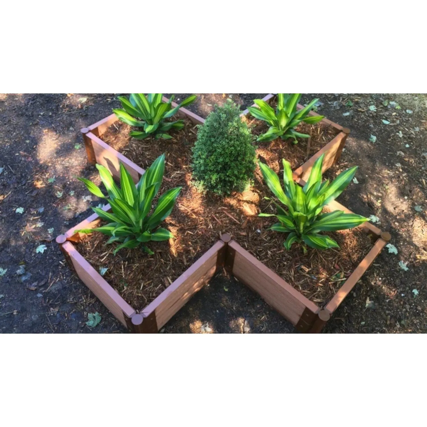 Frame It All | Tool-Free Military Medallion Raised Garden Bed (Kit Cross) 6' X 6' X 11" - Classic Sienna - 1" Profile