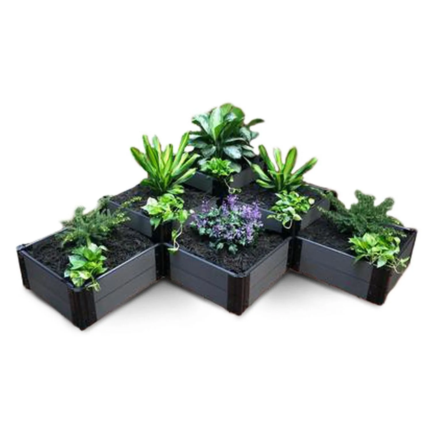 Frame It All | Tool-Free The Banaue Raised Garden Bed (Terraced) 6' X 6' Upload Brown - 1" Profile