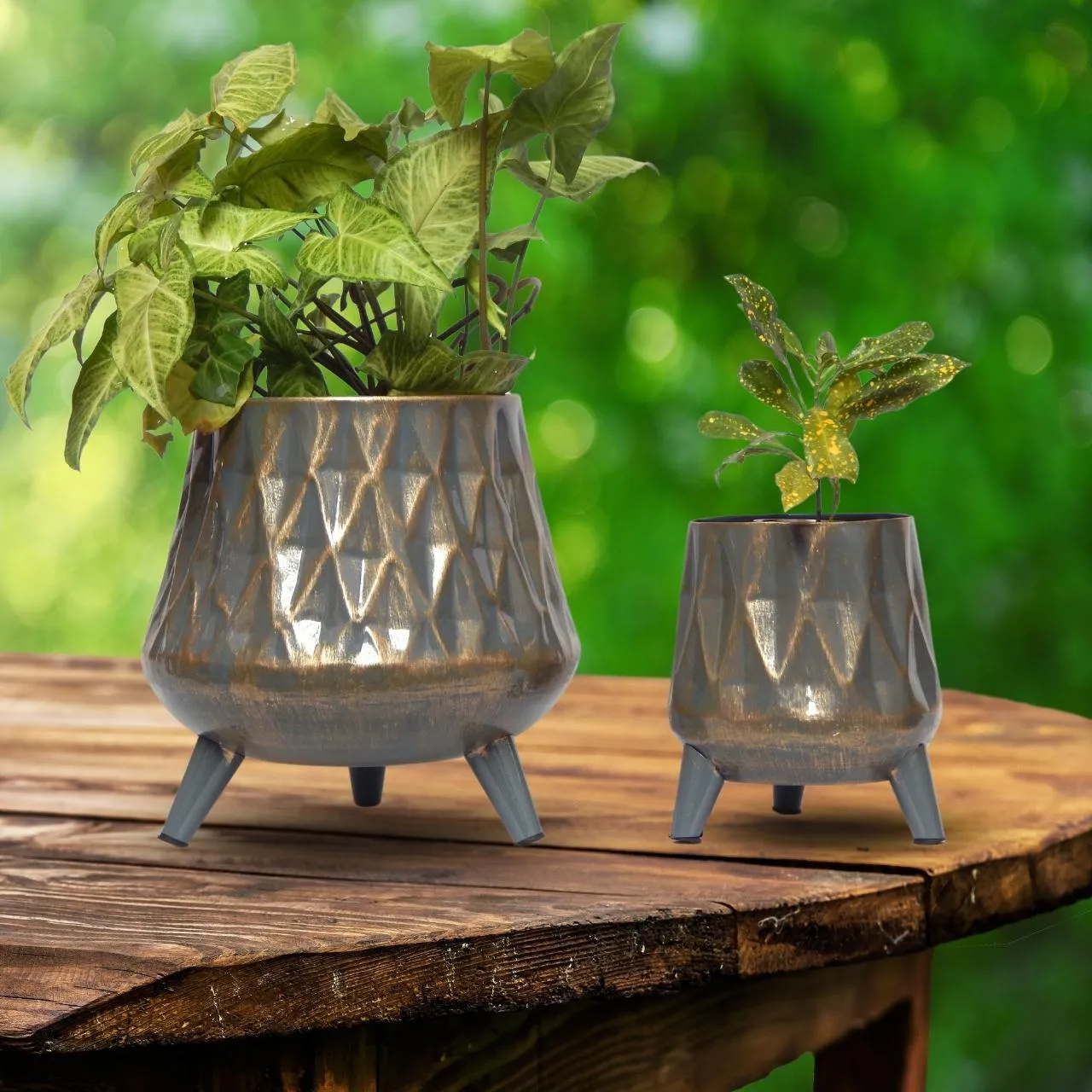 Hazel Metal Planter with Stand