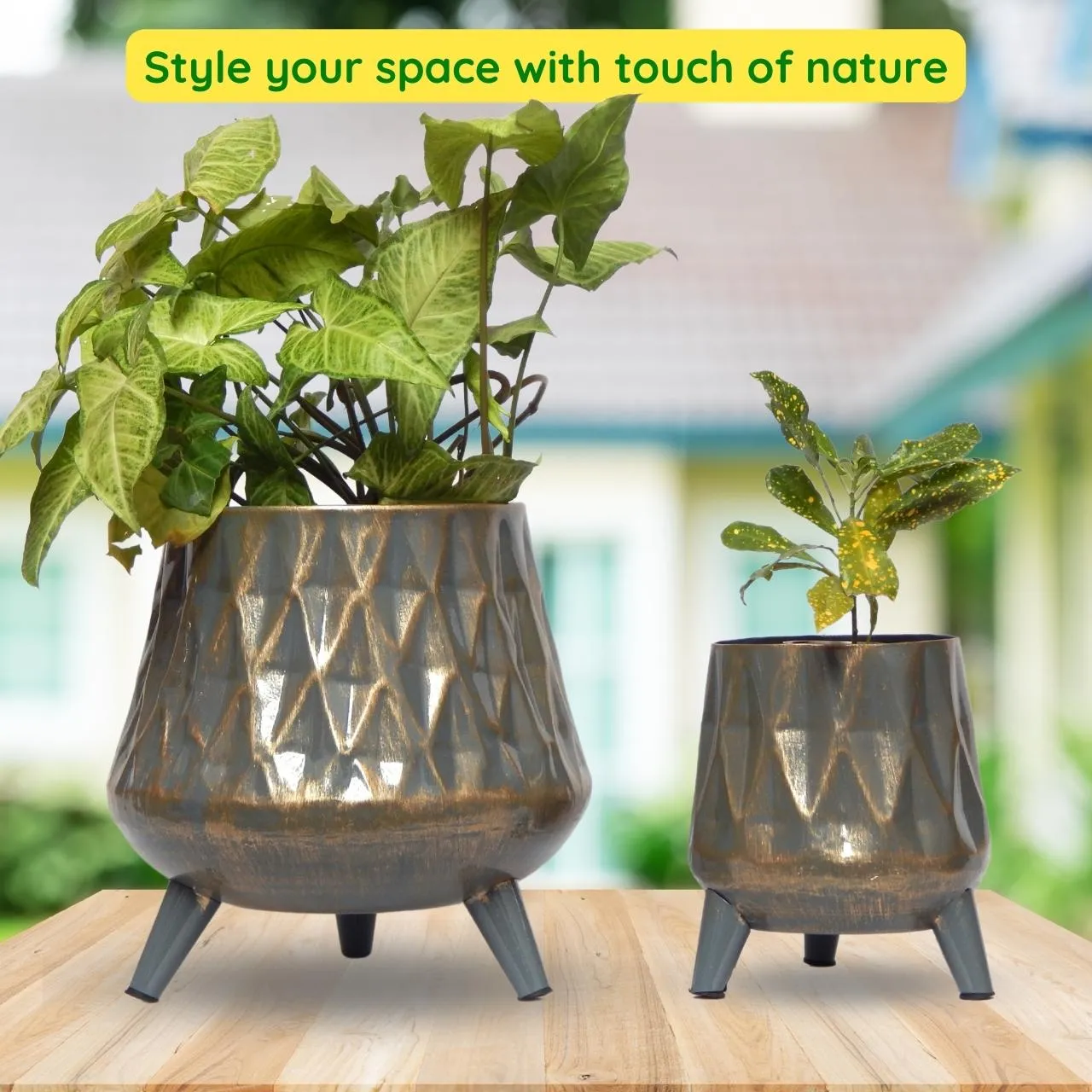 Hazel Metal Planter with Stand