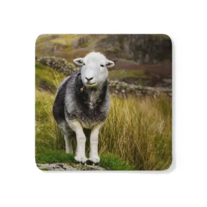 Herdwick Sheep Coaster