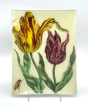 John Derian 10" x 13" Trays
