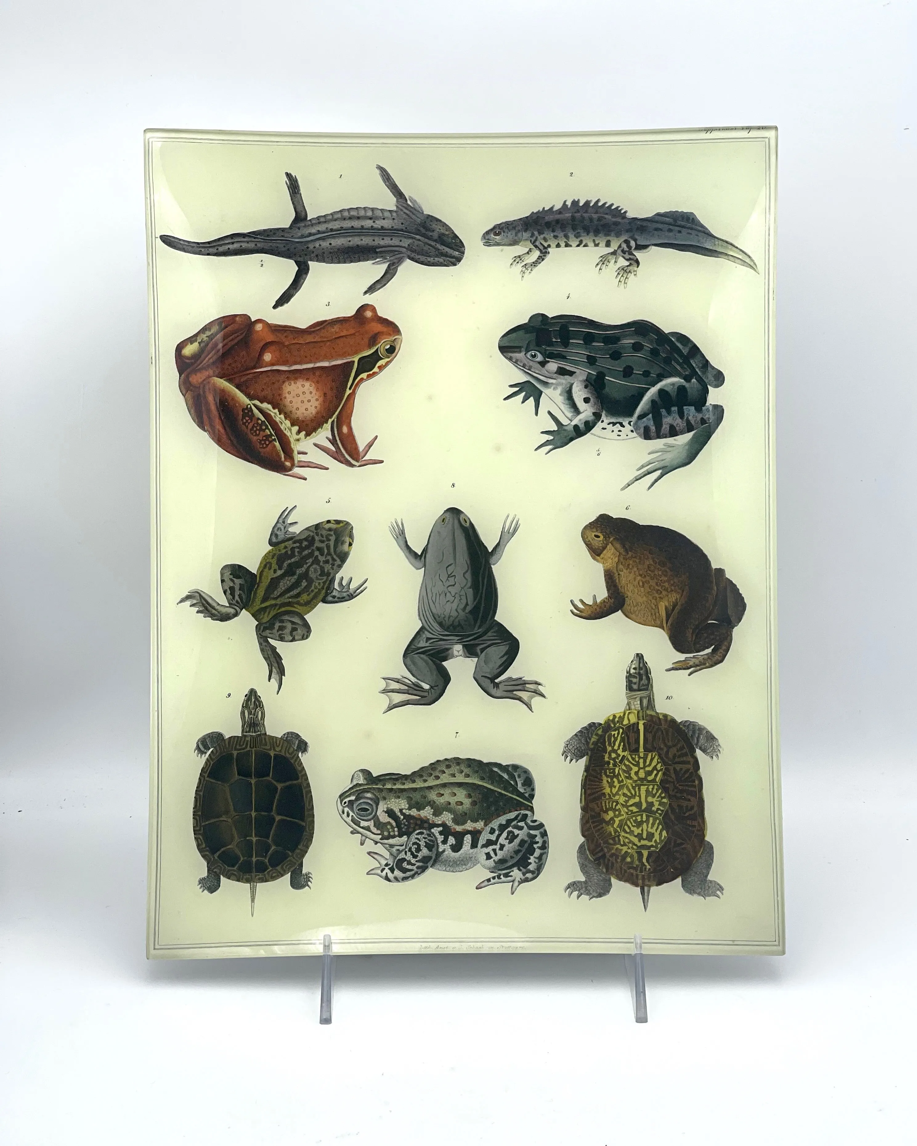 John Derian 10" x 13" Trays