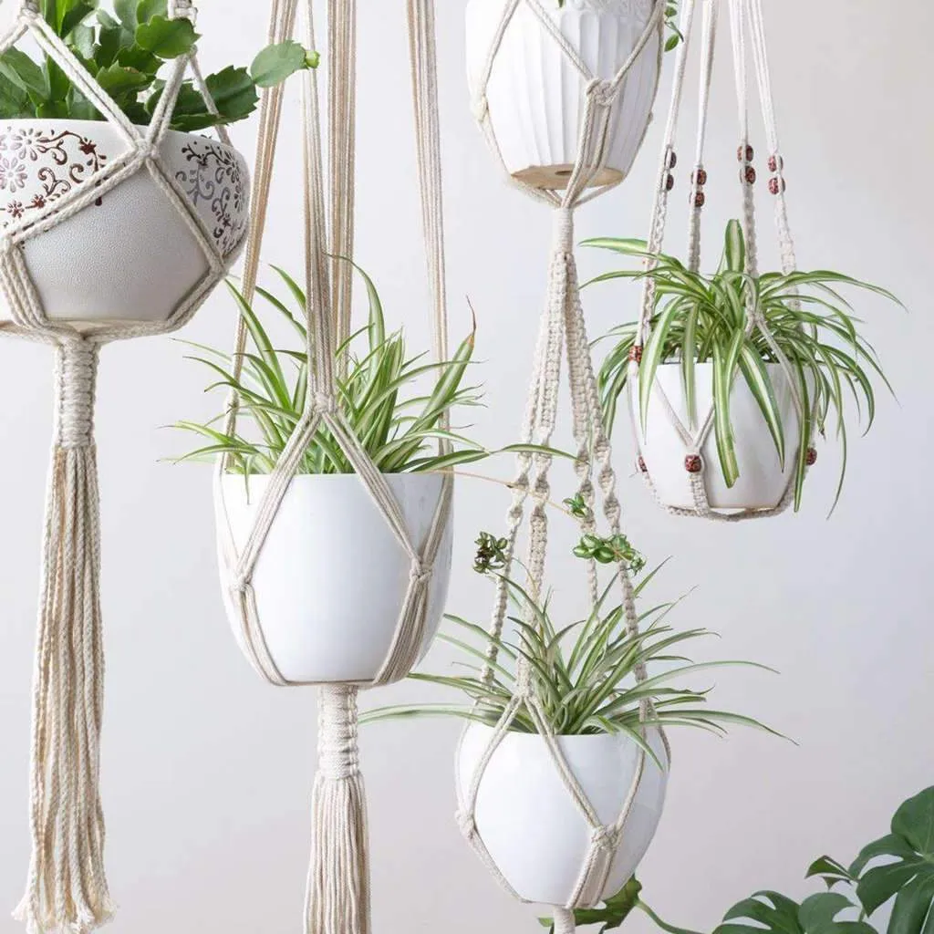 Juno Macrame Plant Hangers (set of 4)