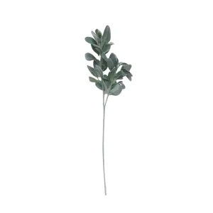 Lamb's Ear Spray - Green