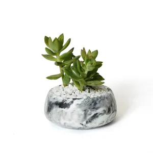 MARBLED OVAL PLANTERS