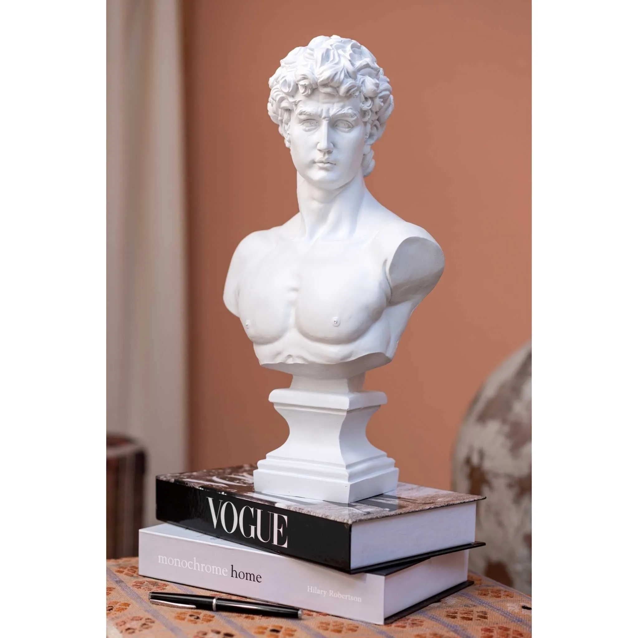Michelangelo’s David Bust