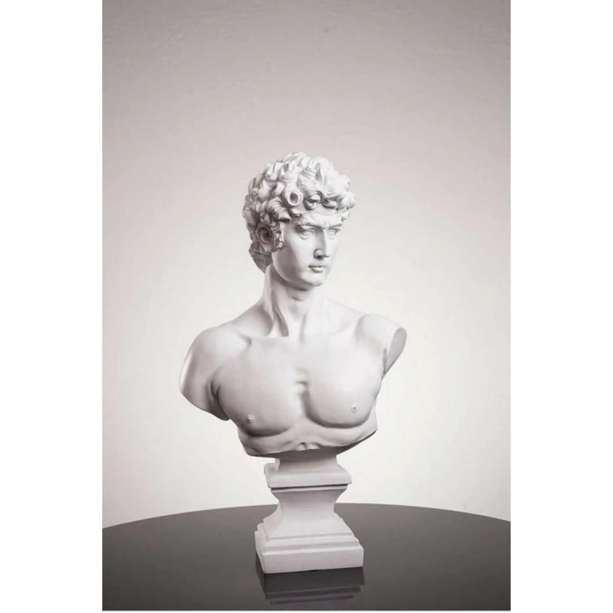 Michelangelo’s David Bust