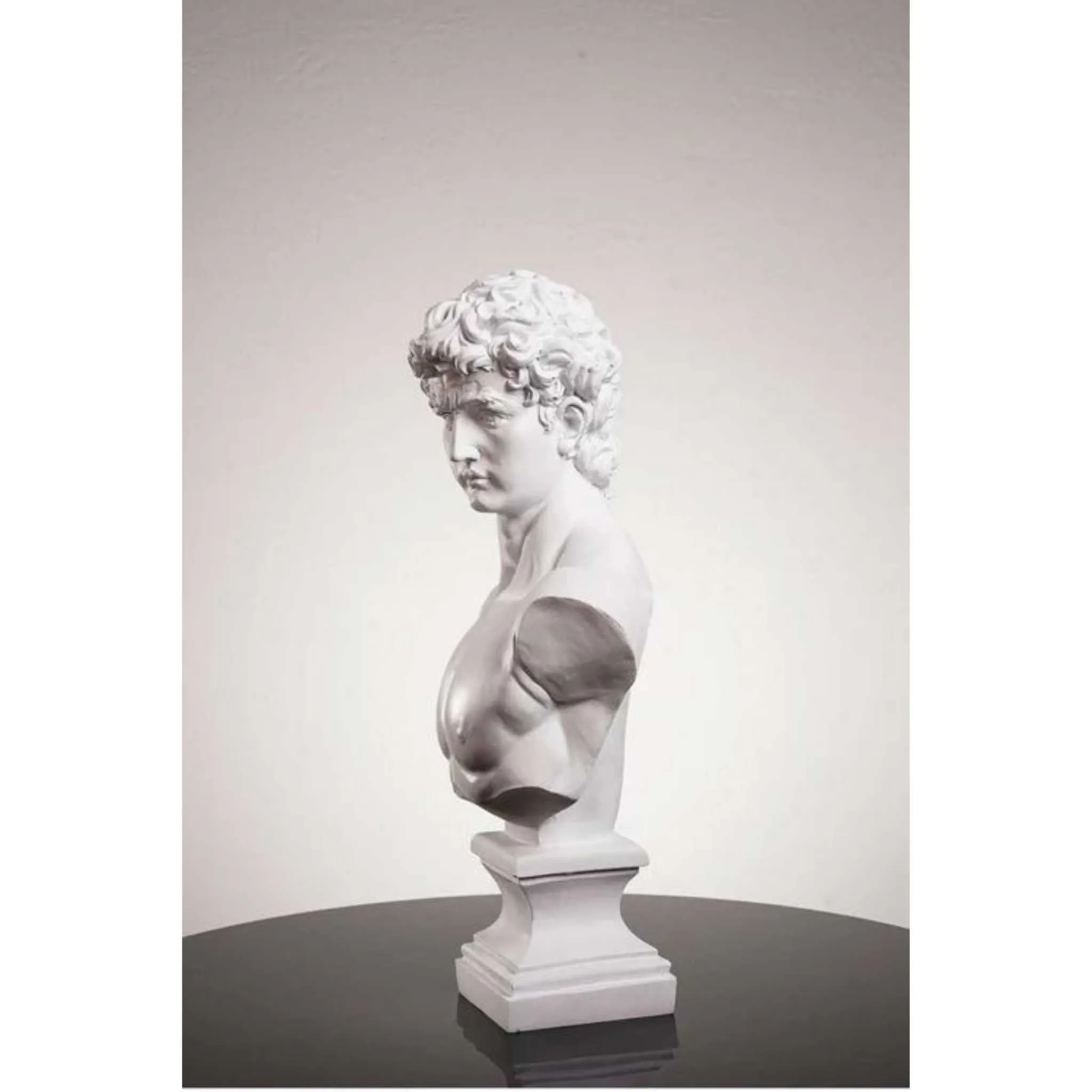 Michelangelo’s David Bust