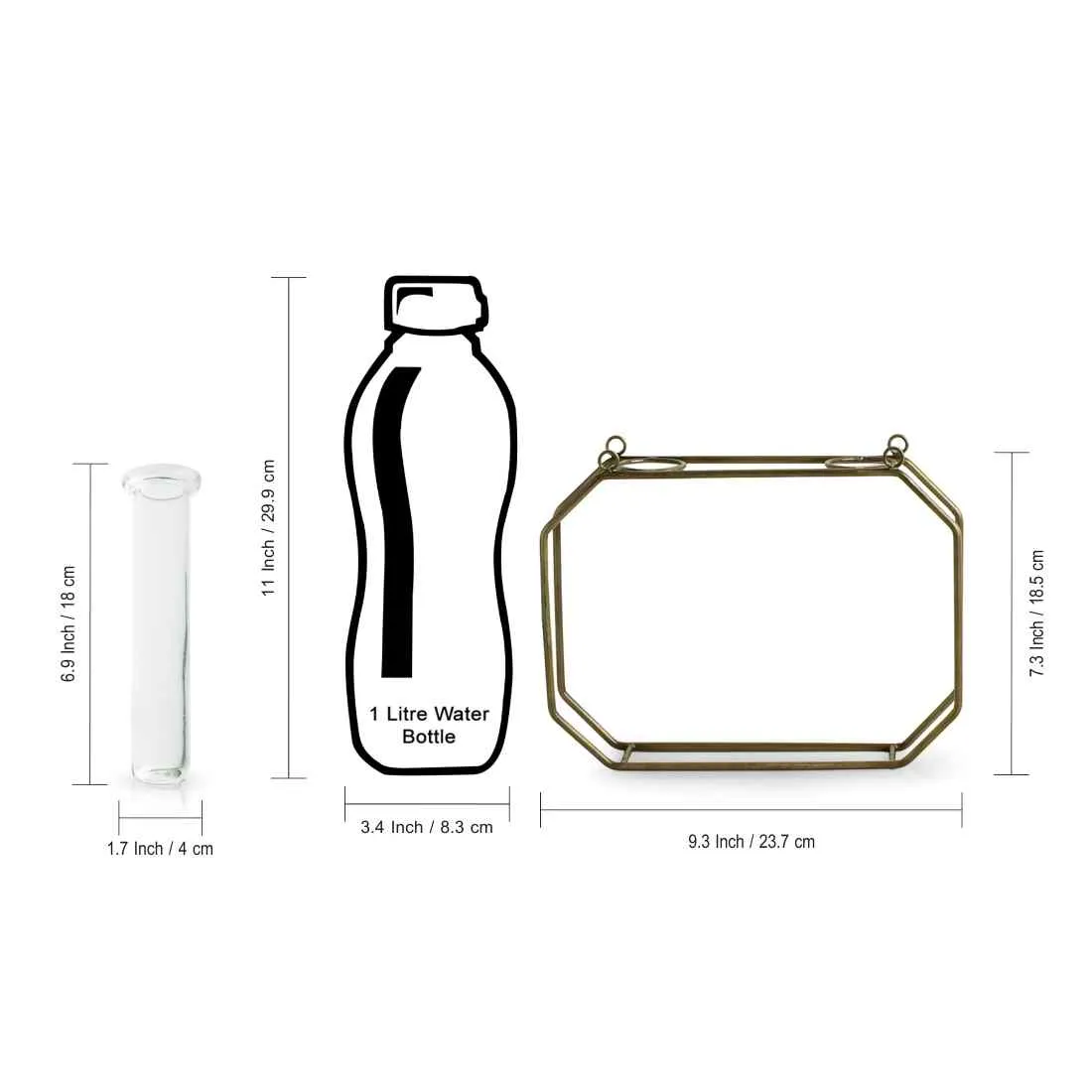 Modern Glass Garden' Test Tube Wall Planter/Vases (17.8 cm | Golden)