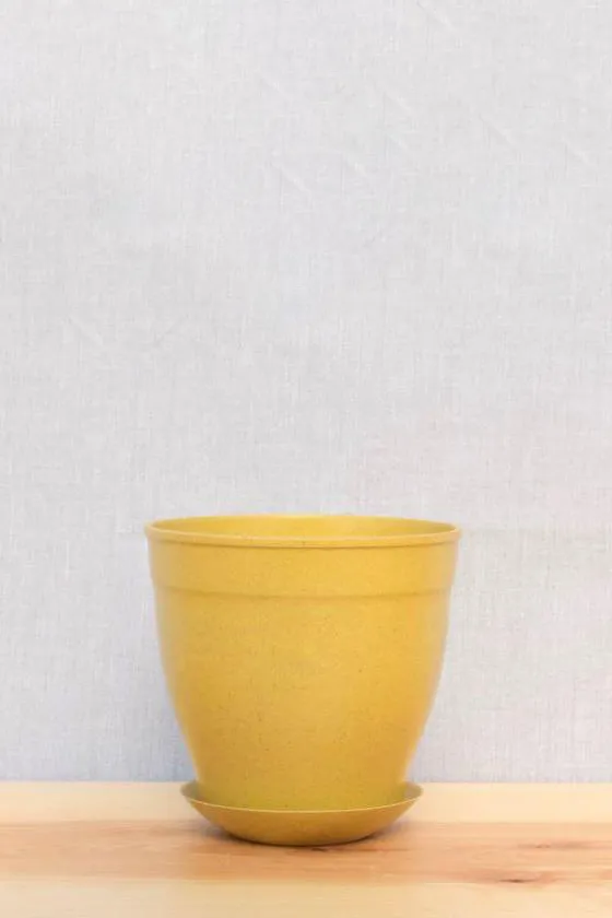 Nova Pot
