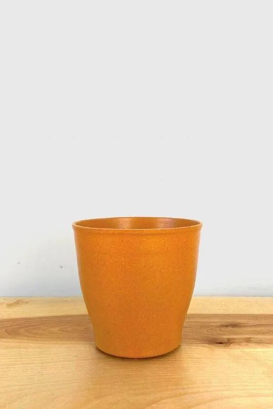 Nova Pot