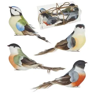 Raz Imports In Bloom 7" Box of 4 Clip-On Feathered Birds
