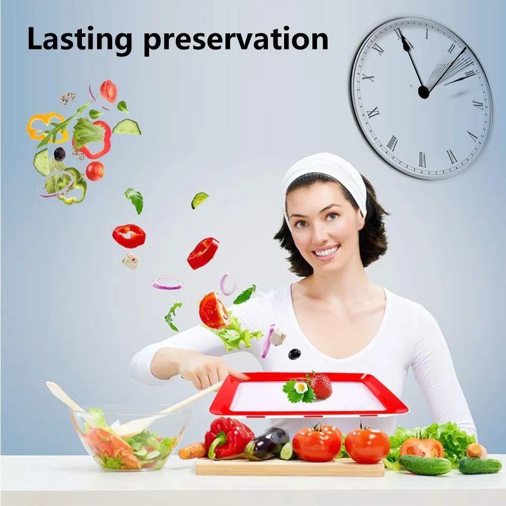 Reusable Food Preservation Trays