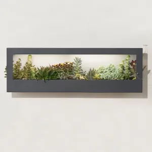 Smart Standard Growframe (Online Only) | Wall-Mountable LED Grow Light Frame