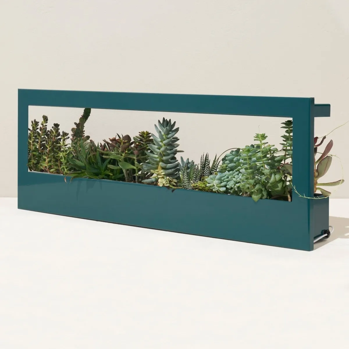Smart Standard Growframe (Online Only) | Wall-Mountable LED Grow Light Frame
