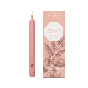 Taper Candle Set in Tomato