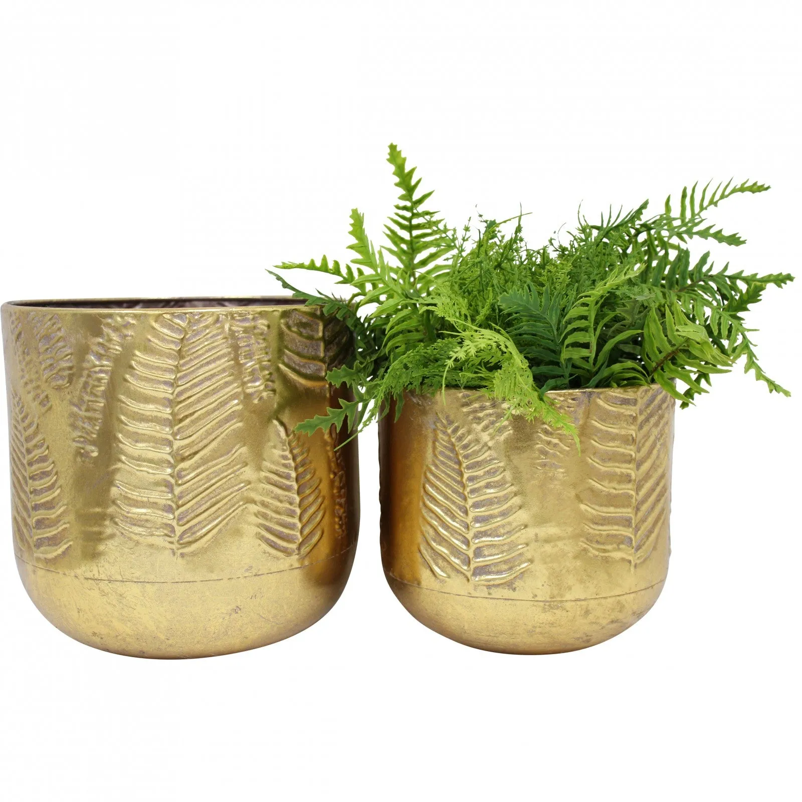 Wall Planter