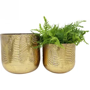 Wall Planter