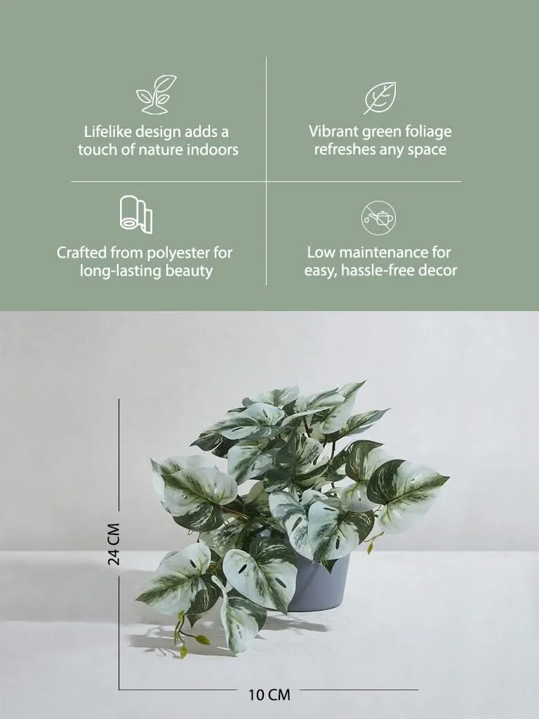 Westside Home Green Artificial Arrow Head Trailing Plant